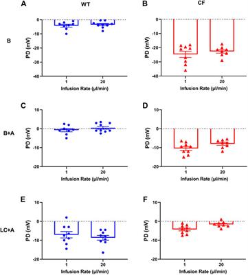 Assessment of Lentiviral Vector Mediated CFTR Correction in Mice Using an Improved Rapid in vivo Nasal Potential Difference Measurement Protocol